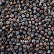 ジュニパーベリー<br />ハイグレード<br />AAA C+