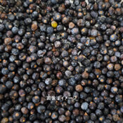 ジュニパーベリー<br />スタンダードグレード<br />A C＋